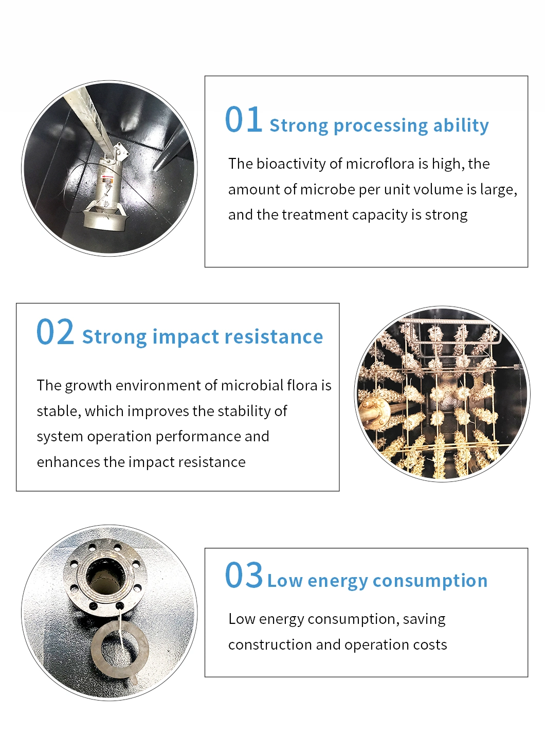 Biological Wastewater Treatment System Mbr Domestic Sewage Treatment for Water Treatment Plant